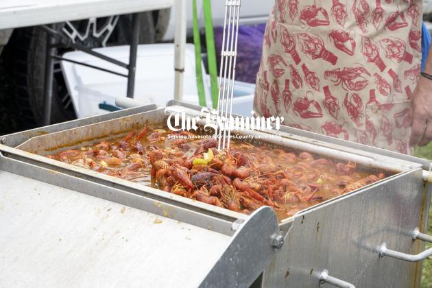 Article Image Alt Text