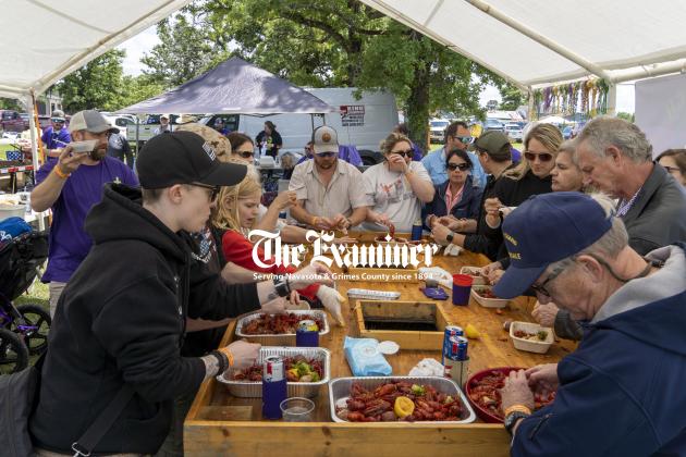 Article Image Alt Text