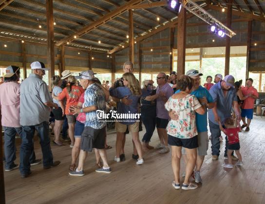 Article Image Alt Text