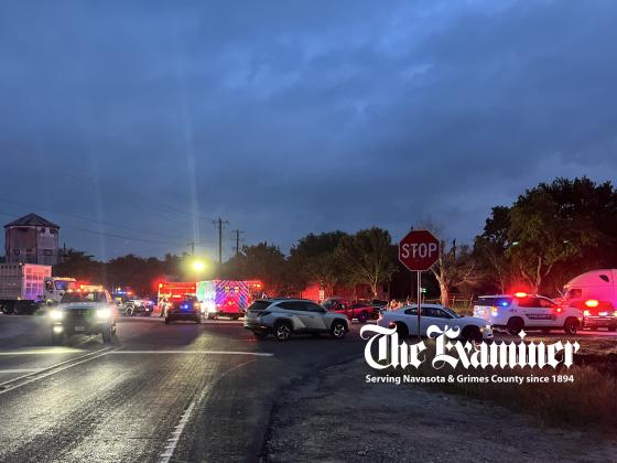 Article Image Alt Text