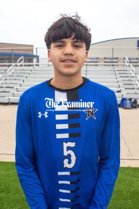 Article Image Alt Text