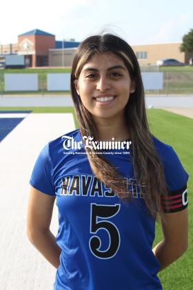 Article Image Alt Text