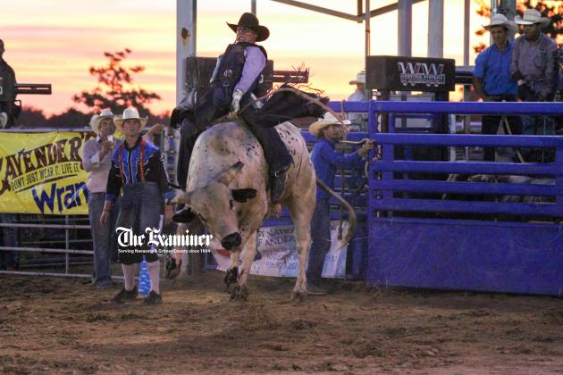 Article Image Alt Text