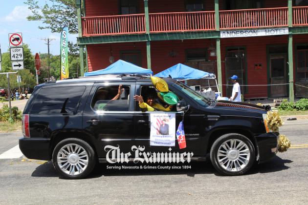 Article Image Alt Text