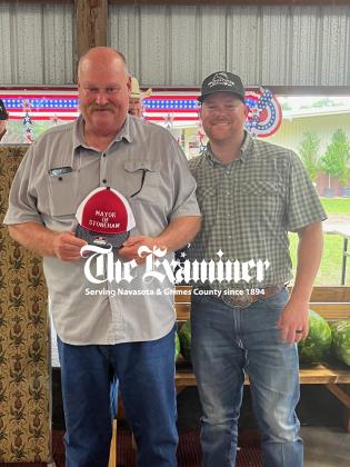 Article Image Alt Text