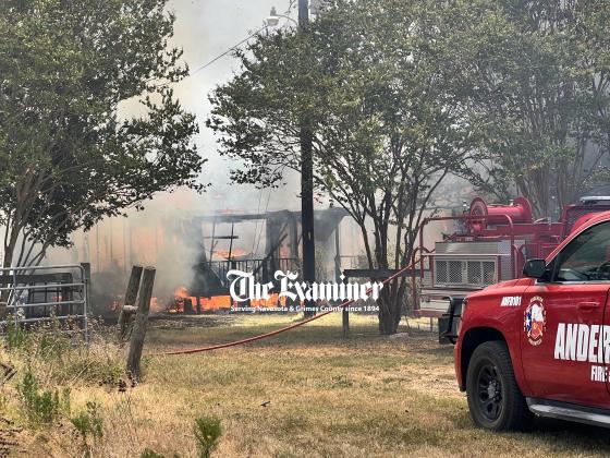 Examiner photo by Celeste Anguiano Article Image Alt Text