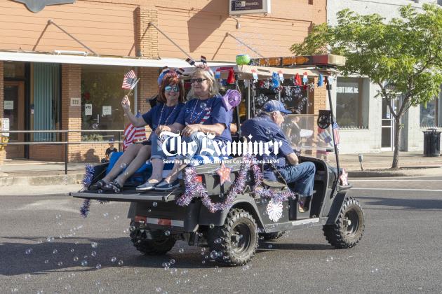 Article Image Alt Text