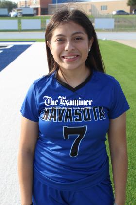 Article Image Alt Text