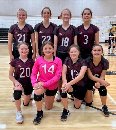 Article Image Alt Text