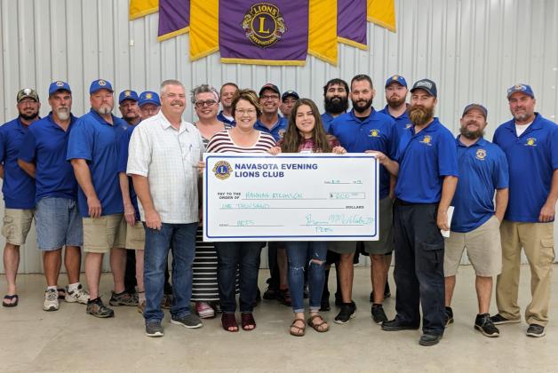 Article Image Alt Text