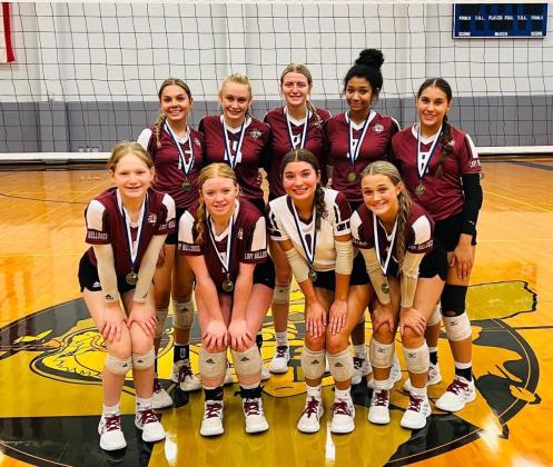 Article Image Alt Text