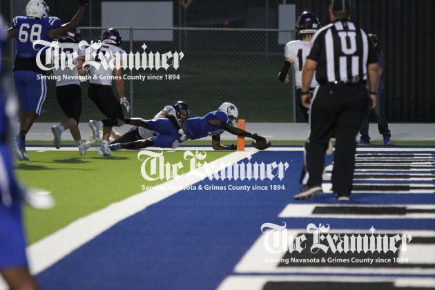 Article Image Alt Text