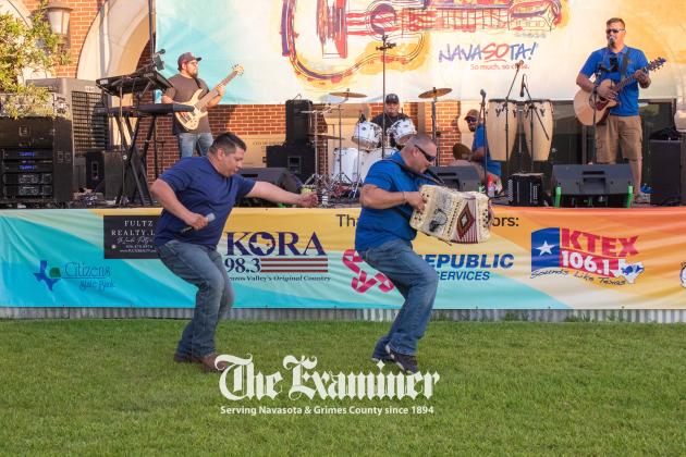 Article Image Alt Text