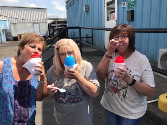 Article Image Alt Text