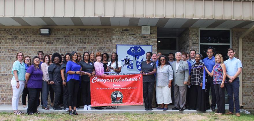 Article Image Alt Text