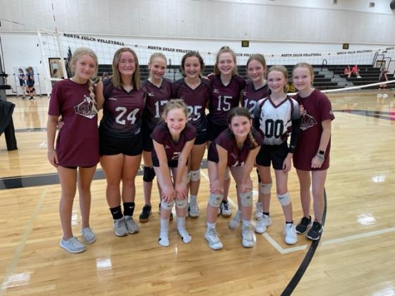 Article Image Alt Text