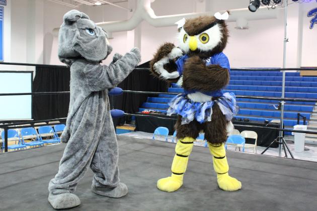 Article Image Alt Text