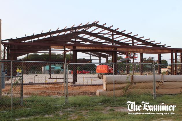 Article Image Alt Text