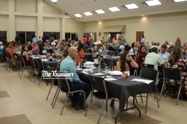 Article Image Alt Text