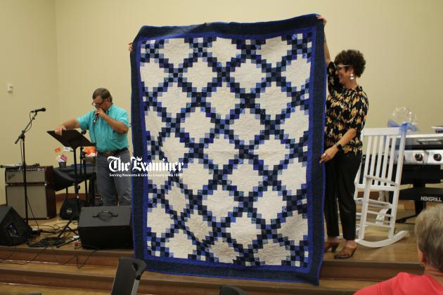 Article Image Alt Text