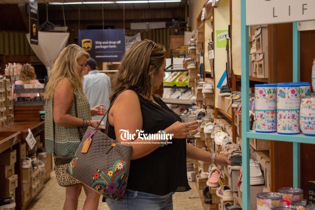 Article Image Alt Text