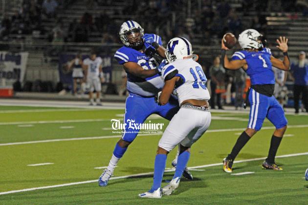 Article Image Alt Text