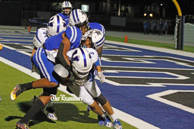 Article Image Alt Text