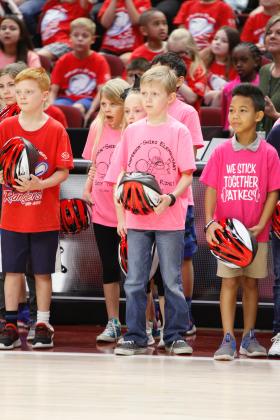 Article Image Alt Text