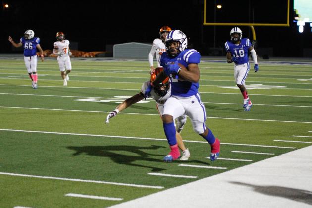 Article Image Alt Text