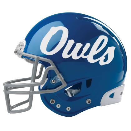 Article Image Alt Text