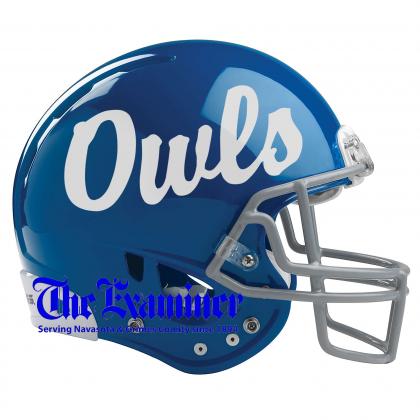 Article Image Alt Text