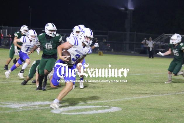 Article Image Alt Text