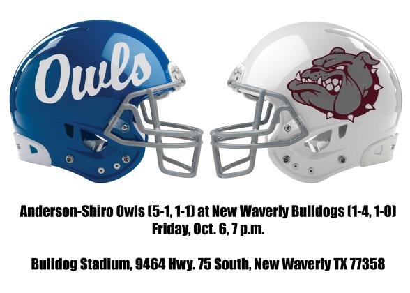 Article Image Alt Text