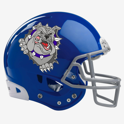 Article Image Alt Text