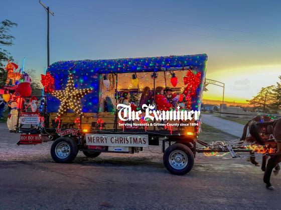 Article Image Alt Text