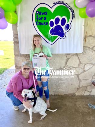 Article Image Alt Text