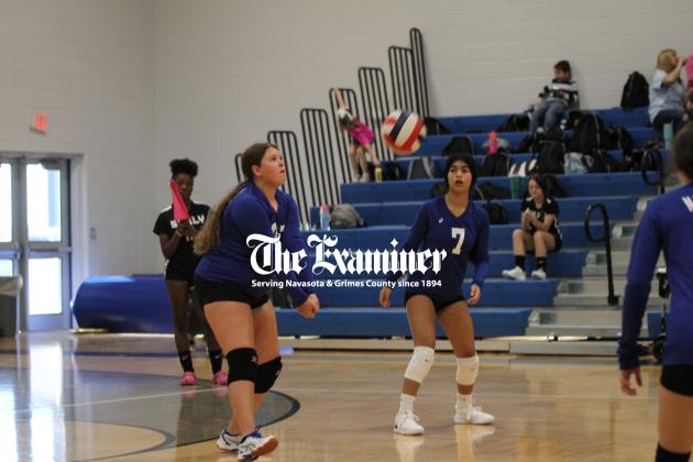 Examiner photo by Matthew Ybarra Brayla Hildreath sends a ball over the net in game two of the Lady Fangs matchup against Sealy. The Lady Tigers won 2-1. Article Image Alt Text