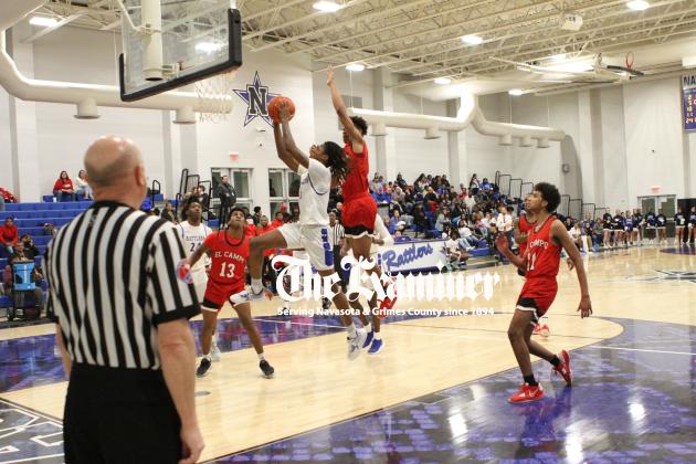 Article Image Alt Text