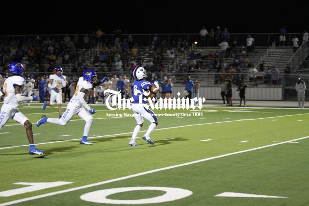 Article Image Alt Text