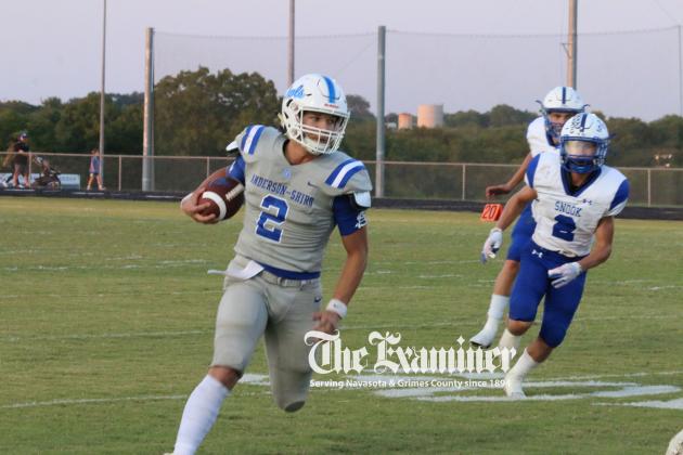 Article Image Alt Text