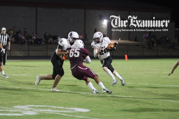 Article Image Alt Text