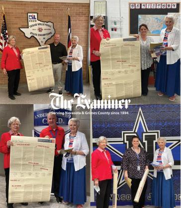 Article Image Alt Text