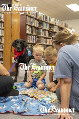 Article Image Alt Text