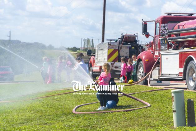 Article Image Alt Text