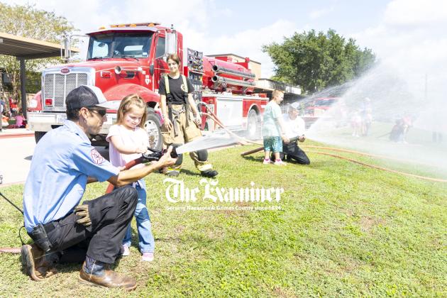 Article Image Alt Text