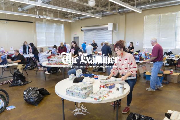 Article Image Alt Text