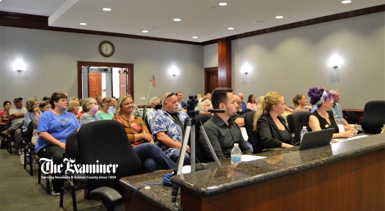 Article Image Alt Text