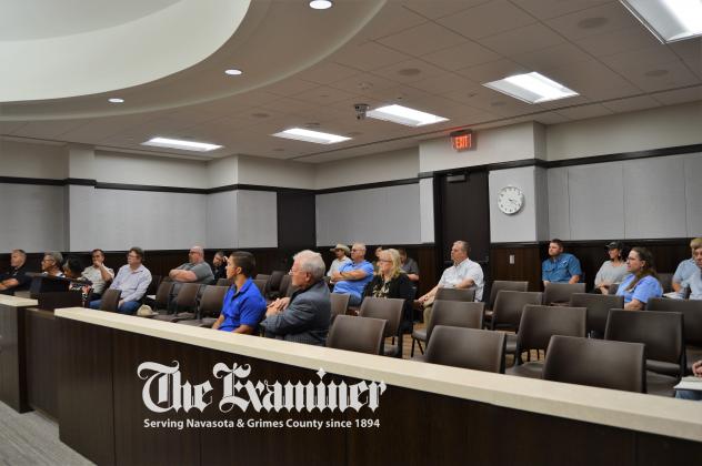 Article Image Alt Text