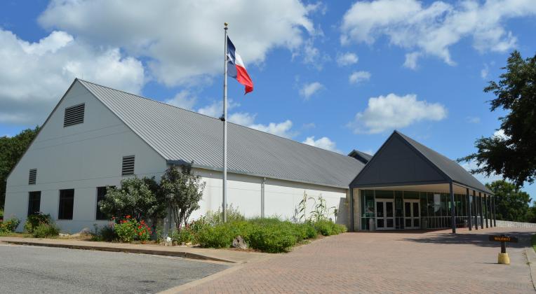 Article Image Alt Text