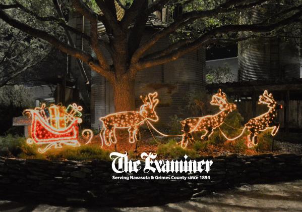 Article Image Alt Text